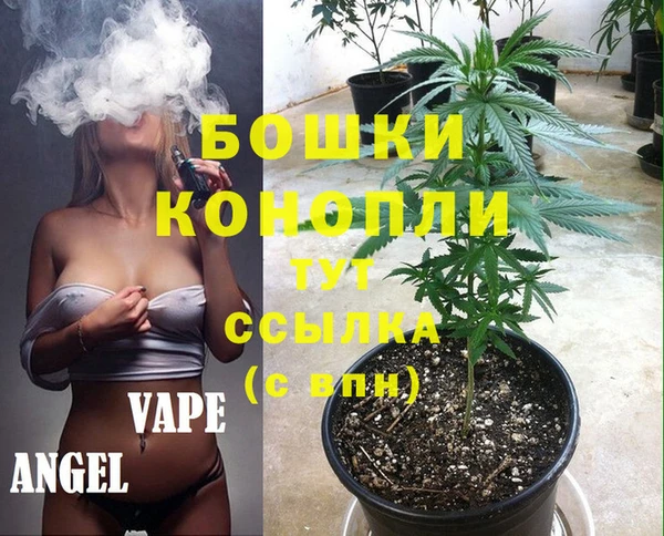 сатива Лихославль