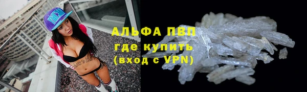сатива Лихославль