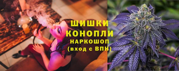 спиды Лиски