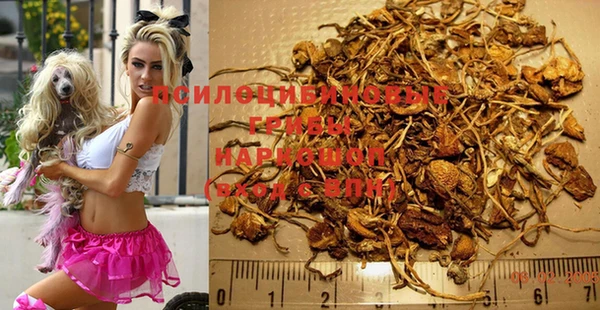 спиды Лиски