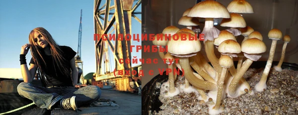 сатива Лихославль